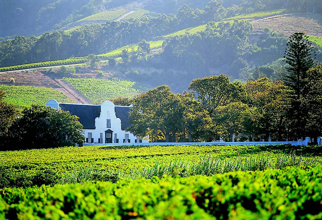 South Africa Stellenbosch Wine tasting