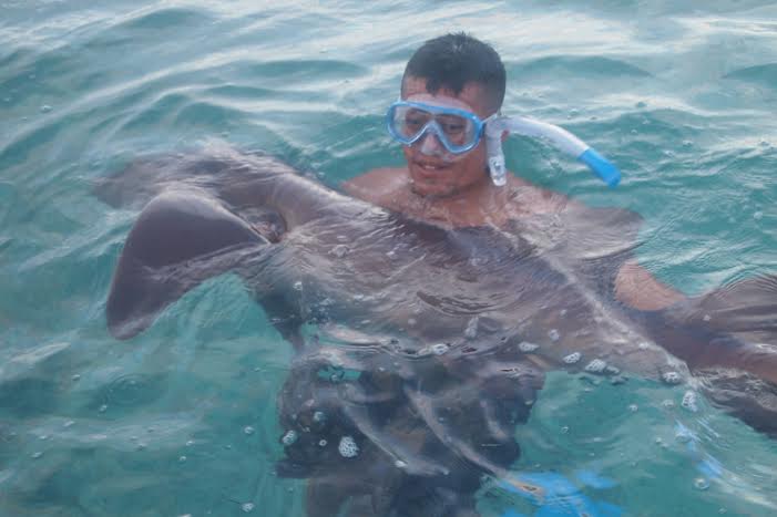Tame nurse shaks in Belize