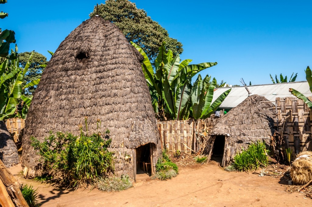 The iconic huts of the Dorze tribe, who are also famous for their polyphonic singing