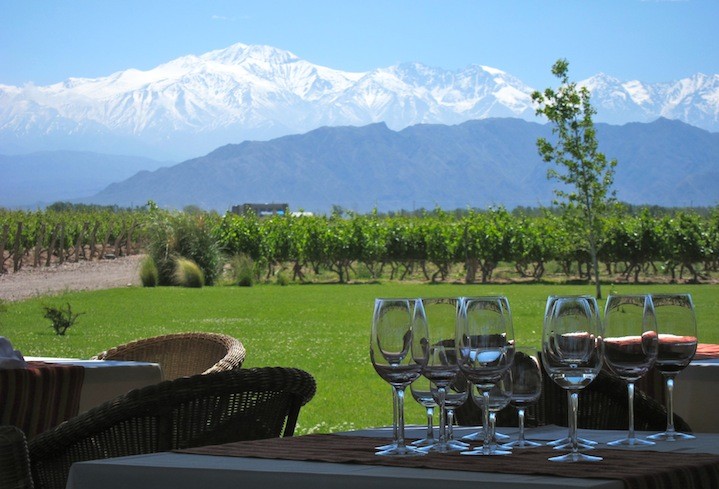 Mendoza Argentina, Vineyards