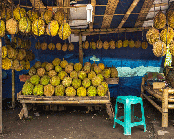 Durian fruit stall in Cambodia